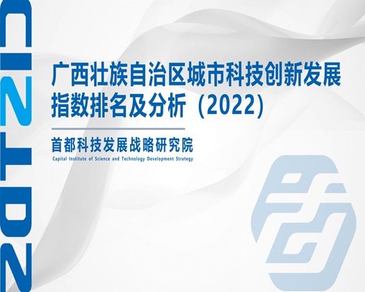 美女姐姐内射高潮【成果发布】广西壮族自治区城市科技创新发展指数排名及分析（2022）